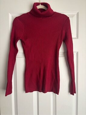 Slim Ribbed Turtleneck Sweater in Deep Red